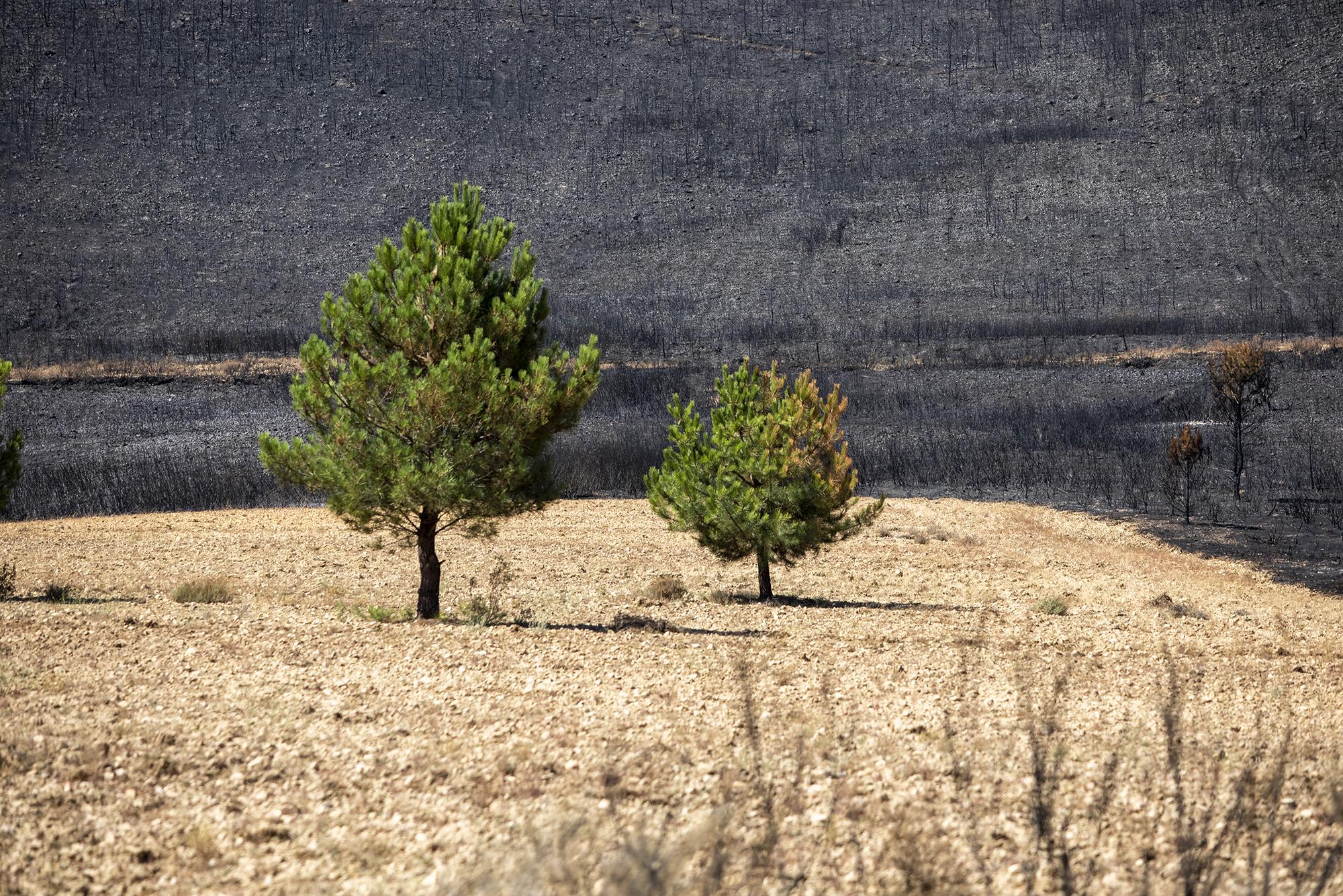 Geografía calcinada enfoques - 9